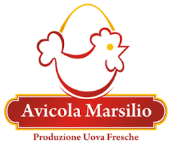 Produzione di uova | Tricase, LE | Azienda Avicola Marsilio
